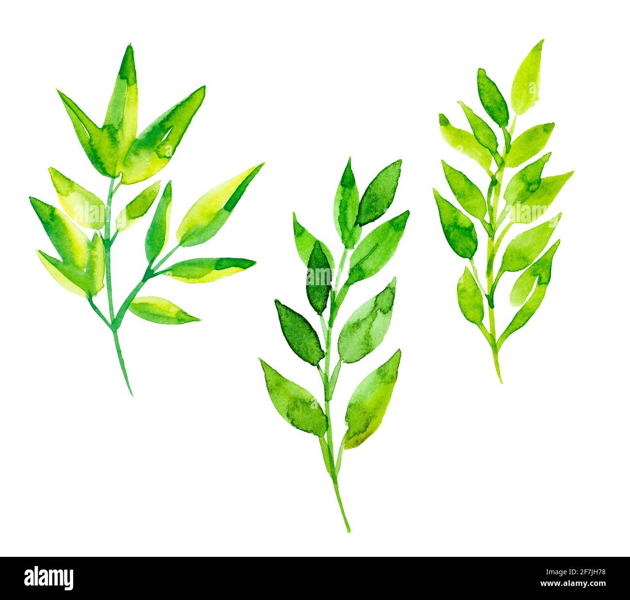 Clipart Blatter Stockfotos Und Bilder Kaufen Alamy