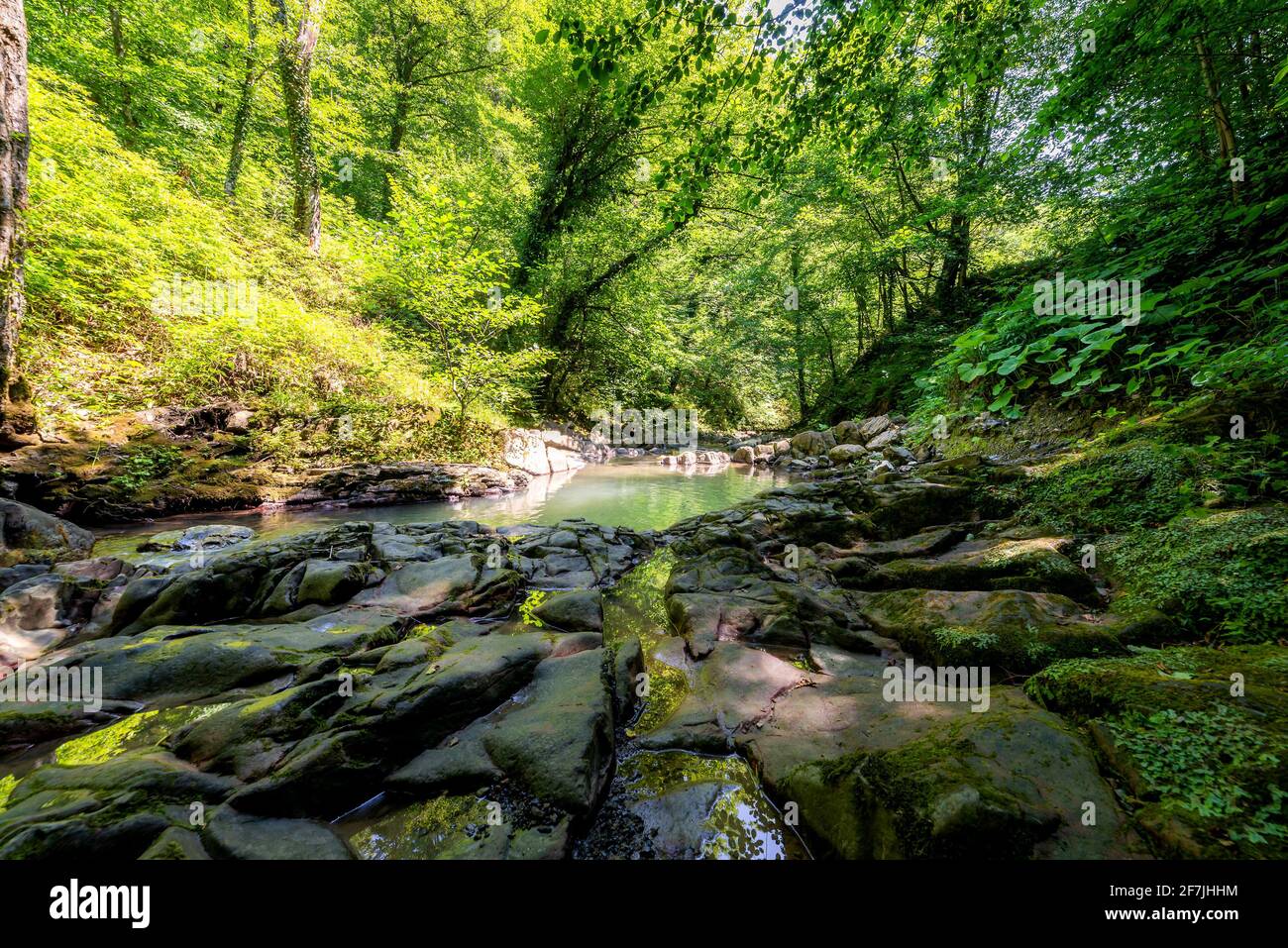 Kleiner Fluss oder Bach im tiefen Wald. Stockfoto