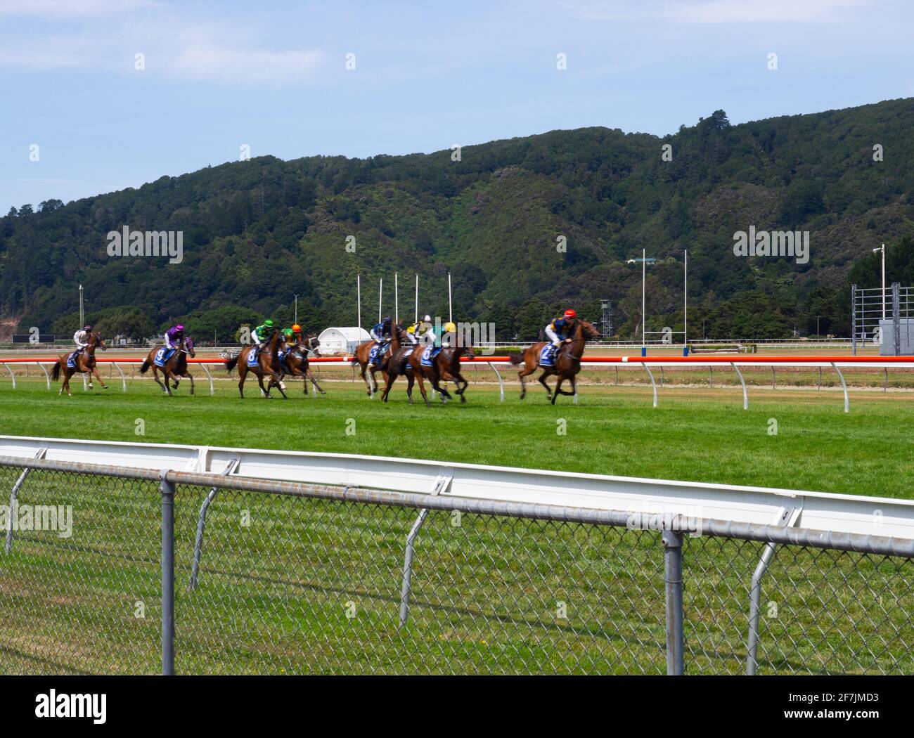 Rennpferde Rennen Auf Der Rennbahn Trentham Stockfoto