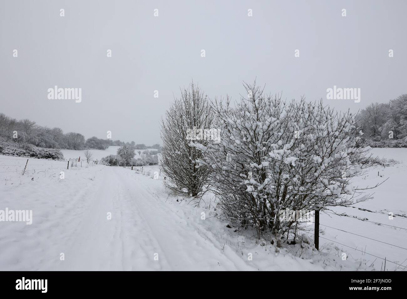 Felder und Wiesen an einem frostigen Wintermorgen. Stockfoto