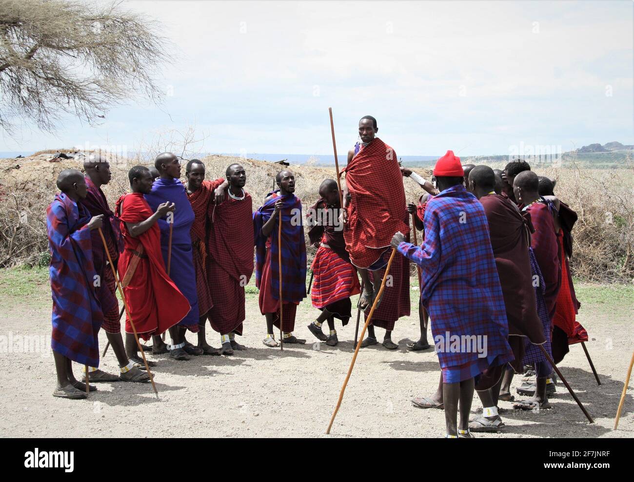 Masai Warrior zeigt seinen charakteristischen hohen, scheinbar mühelosen Sprung in ihrem Dorf in Tansania, Afrika. Stockfoto