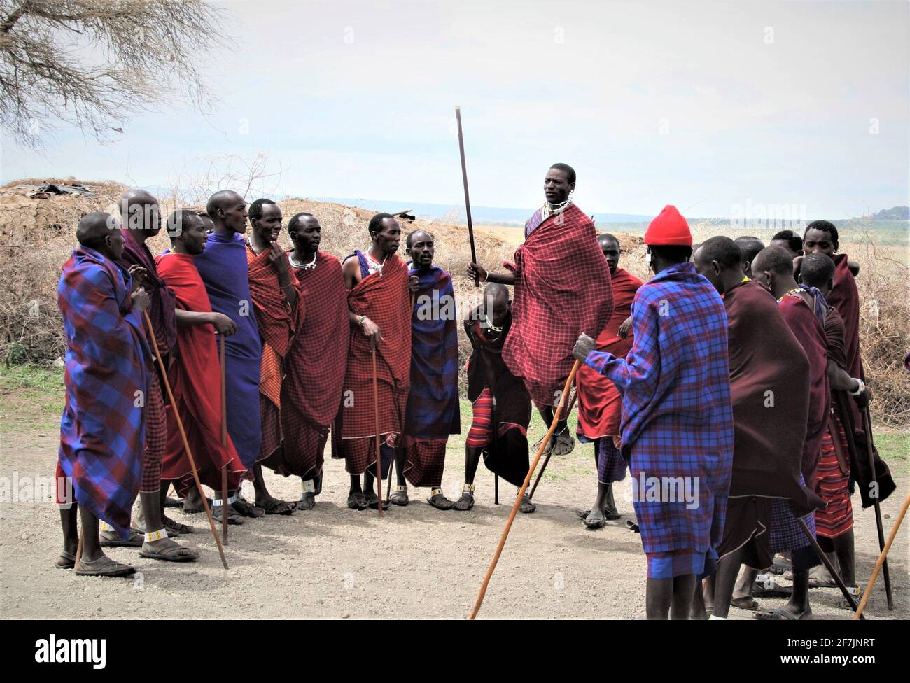 Masai Warrior zeigt seinen charakteristischen hohen, scheinbar mühelosen Sprung in ihrem Dorf in Tansania, Afrika. Stockfoto