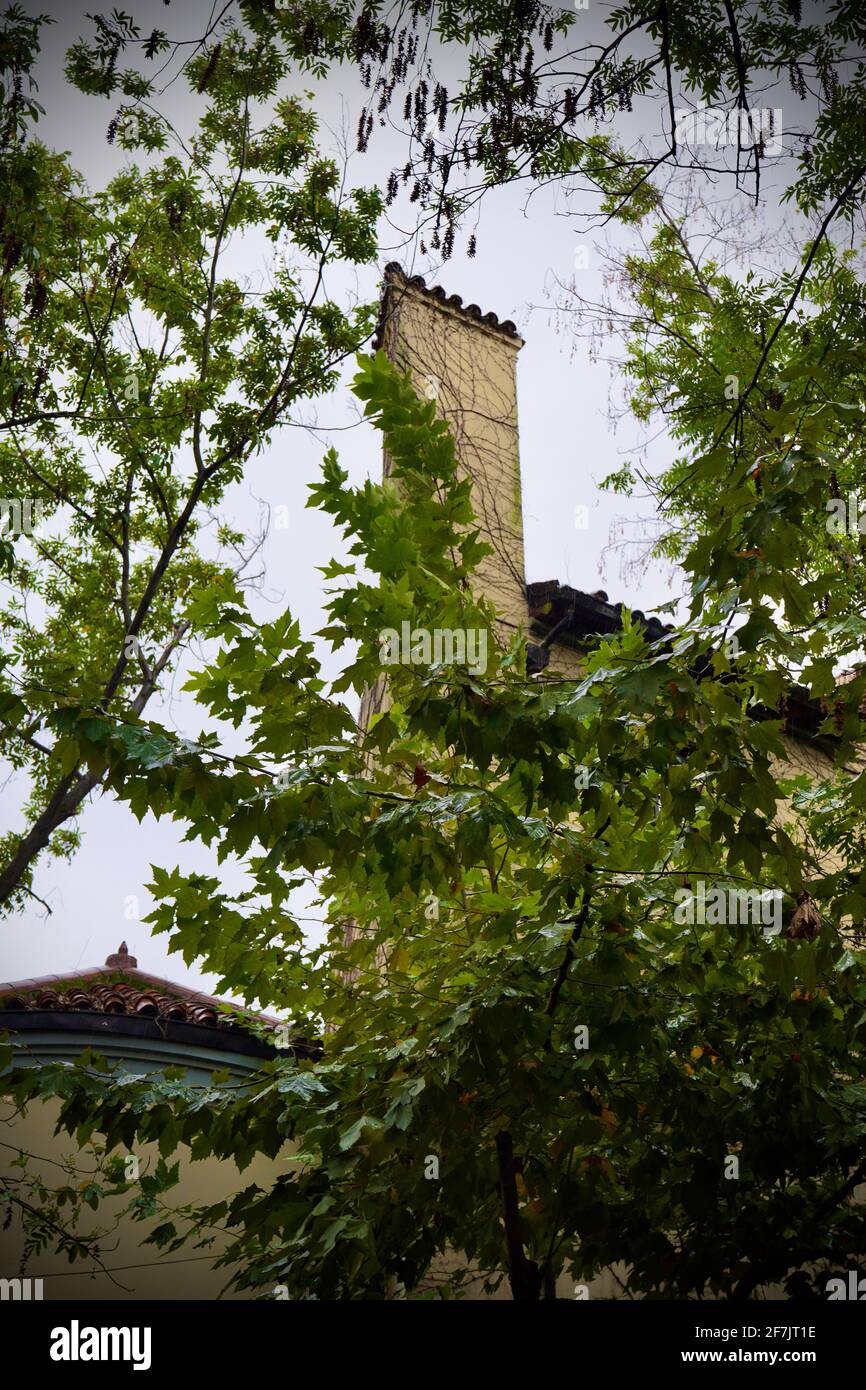 Ein altes Haus ist halb versteckt von grünen Ästen. Stockfoto