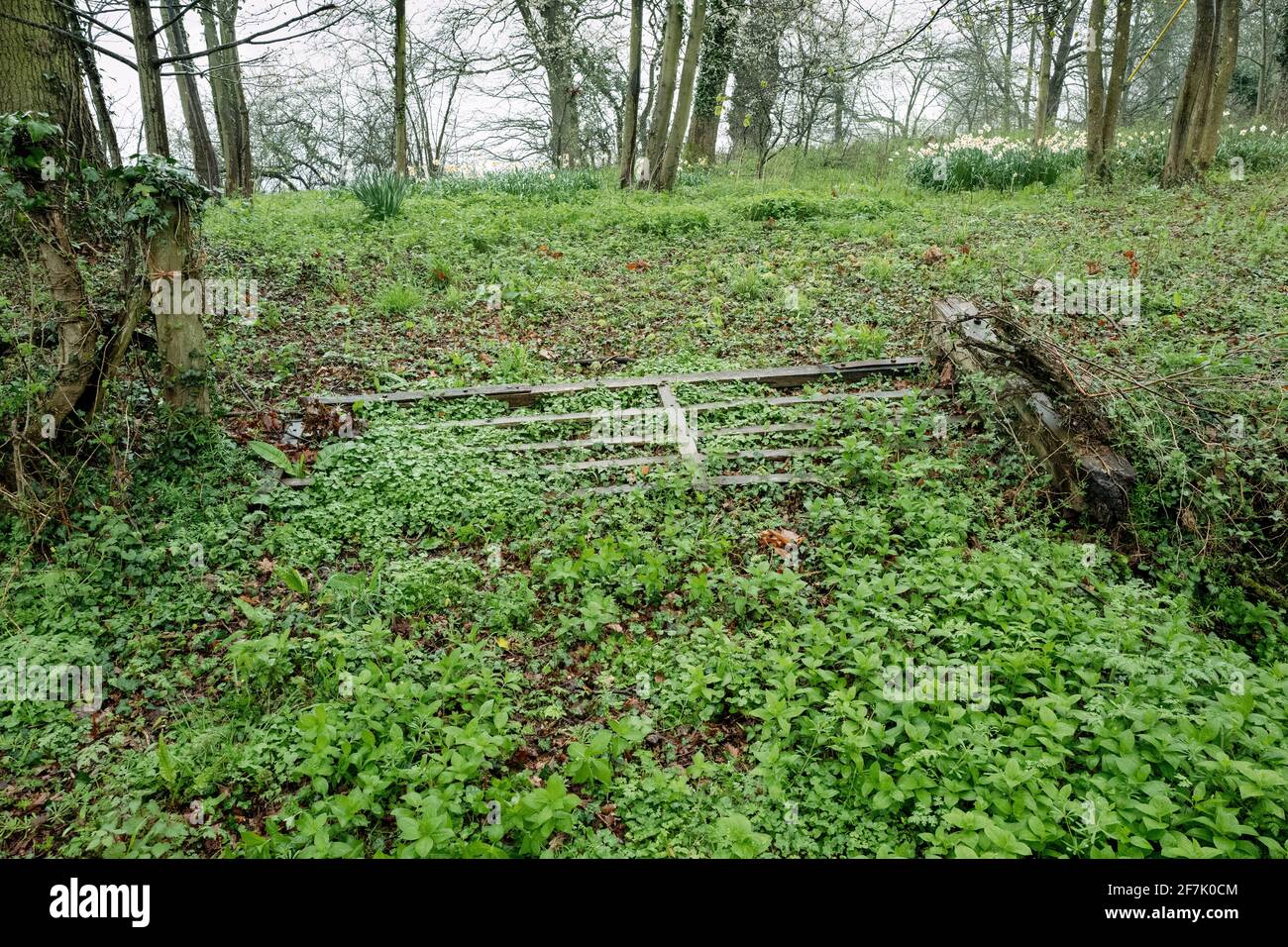Alt und Ersatz fünf bar Tore und Zaun Stockfoto