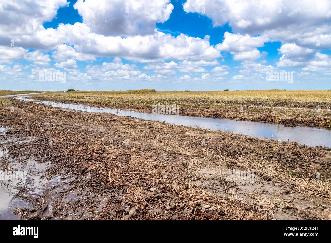 Everglades Park in der Trockenzeit, Florida, USA Stockfoto