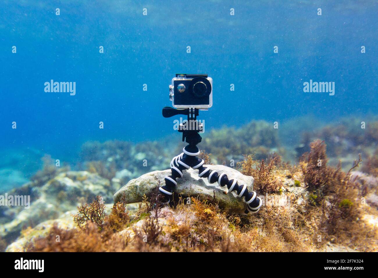 Mit Action-Kamera in wasserdichter Box auf einem flexiblen faltbaren Mini  Stativ, um Fotos und Videos unter Wasser von unten zu machen Des Meeres  Stockfotografie - Alamy