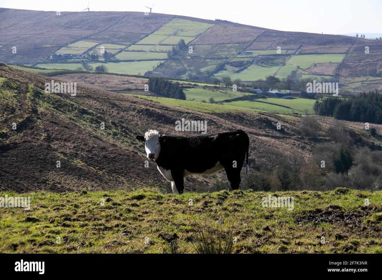 Sperrins Stockfoto