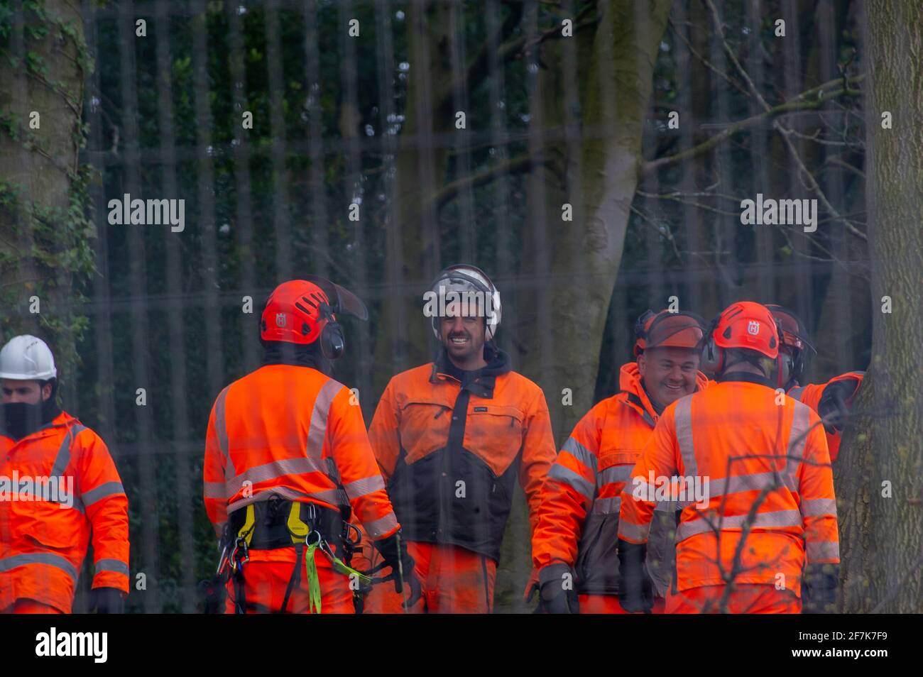 Aylesbury Valle, Großbritannien. April 2021. HS2 haben heute damit begonnen, den beliebten Jones Hill Wood zu Fällen und haben heute Baumglieder und alle ihre Bewohner direkt durch Holzhackschnitzel gepflanzt. Der lokale Kinderautor Roald Dahl soll sich beim Spaziergang durch diesen uralten Wald für den Kinderroman, den fantastischen Mr. Fox, inspirieren lassen. Umweltschützer sind wütend, dass Natural England die Lizenz an HS2 gewährt haben, um den Wald zu fallen, obwohl es seltene Barbaren Fledermäuse gibt, die im Wald leben. Die umstrittene und massiv über Budget-Hochgeschwindigkeitsstrecke 2 von London nach BIRM Stockfoto