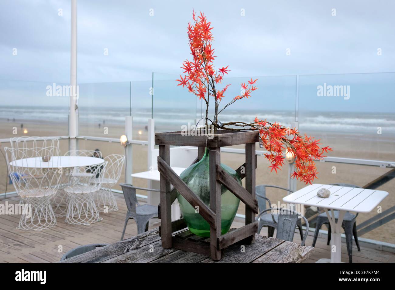 NLD, Niederlande, Nordholland, Bergen aan Zee, 29.12.2018: Ahornzweige aus Kunststoff in einer Vase als Dekoration auf der Terrasse des Strandpavillon Stockfoto