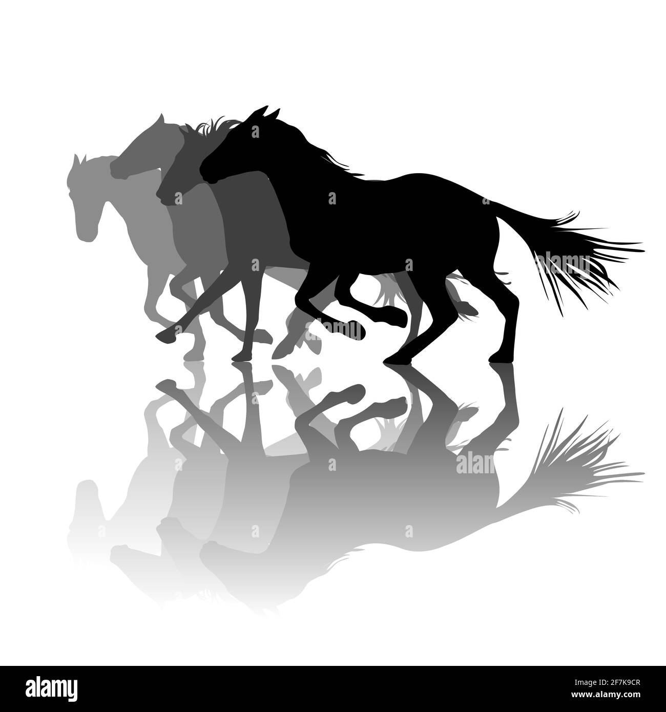 Silhouetten von Pferden mit Schatten laufen Stock Vektor