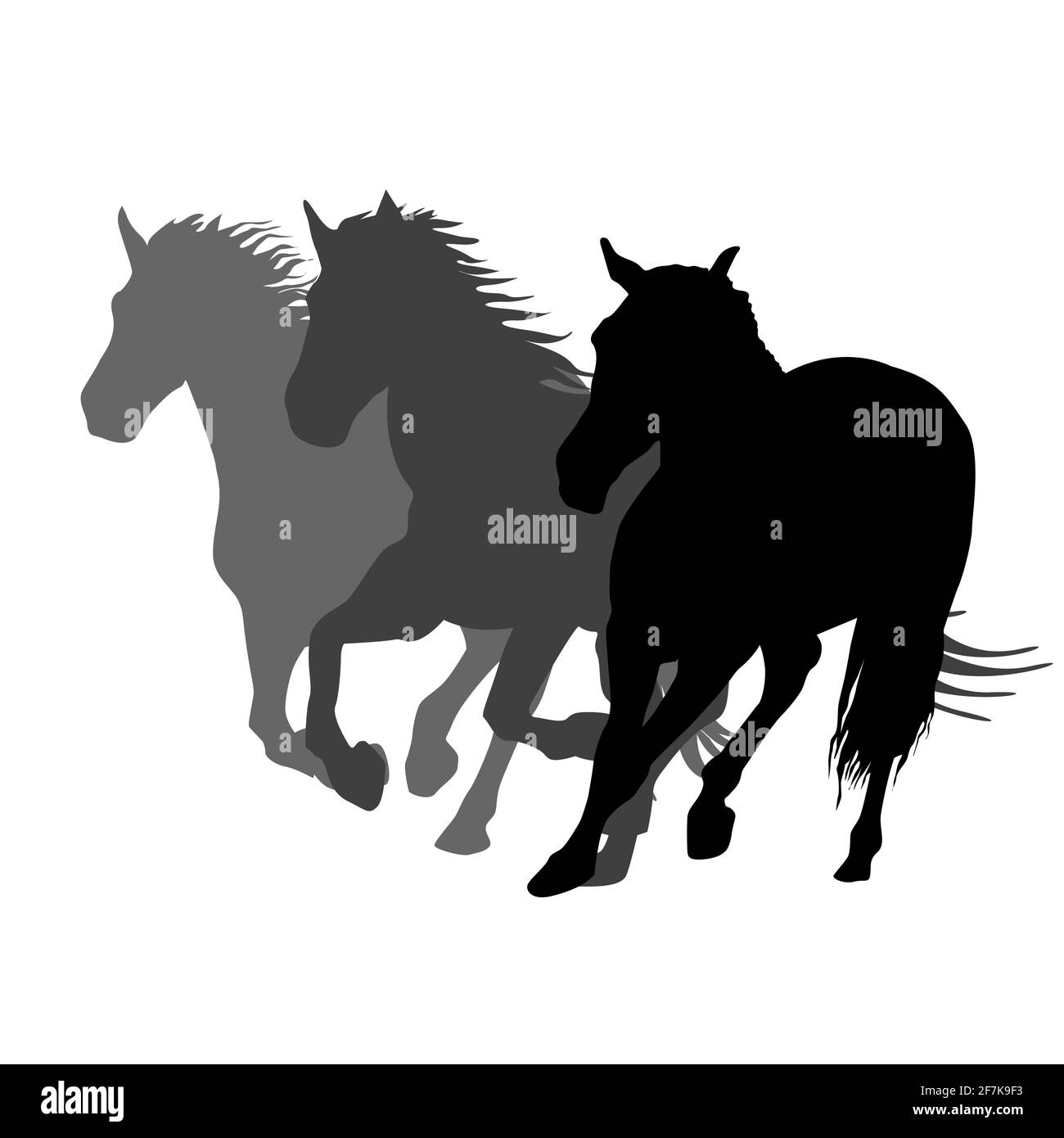 Silhouetten von drei Pferden laufen Stock Vektor