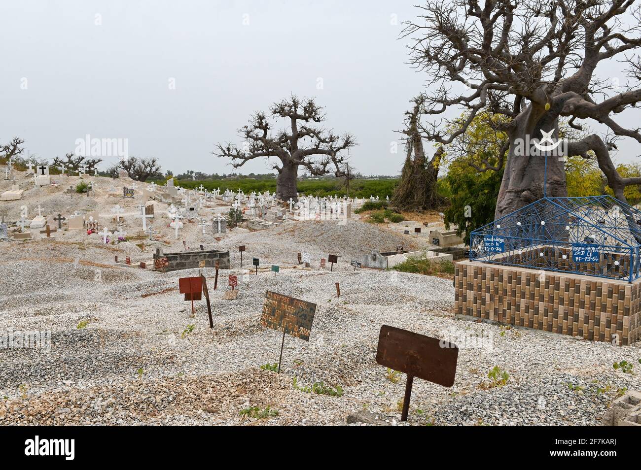 SENEGAL, Insel Fadiouth, Friedhof, gemischter Friedhof mit Gräbern für muslime und christen, Baobab-Baum Stockfoto