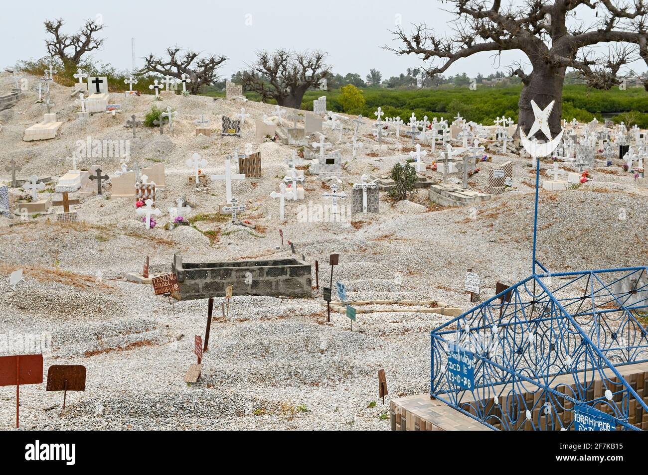 SENEGAL, Insel Fadiouth, Friedhof, gemischter Friedhof mit Gräbern für muslime und christen, Baobab-Baum Stockfoto
