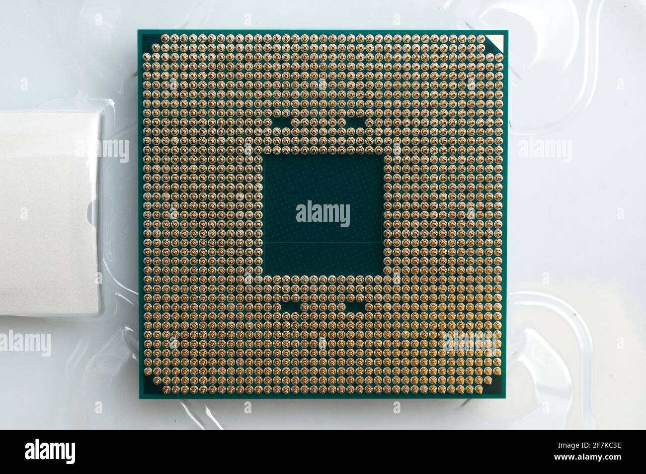 Gold-Metallstift an einem Computerprozessor (cpu) Stockfoto