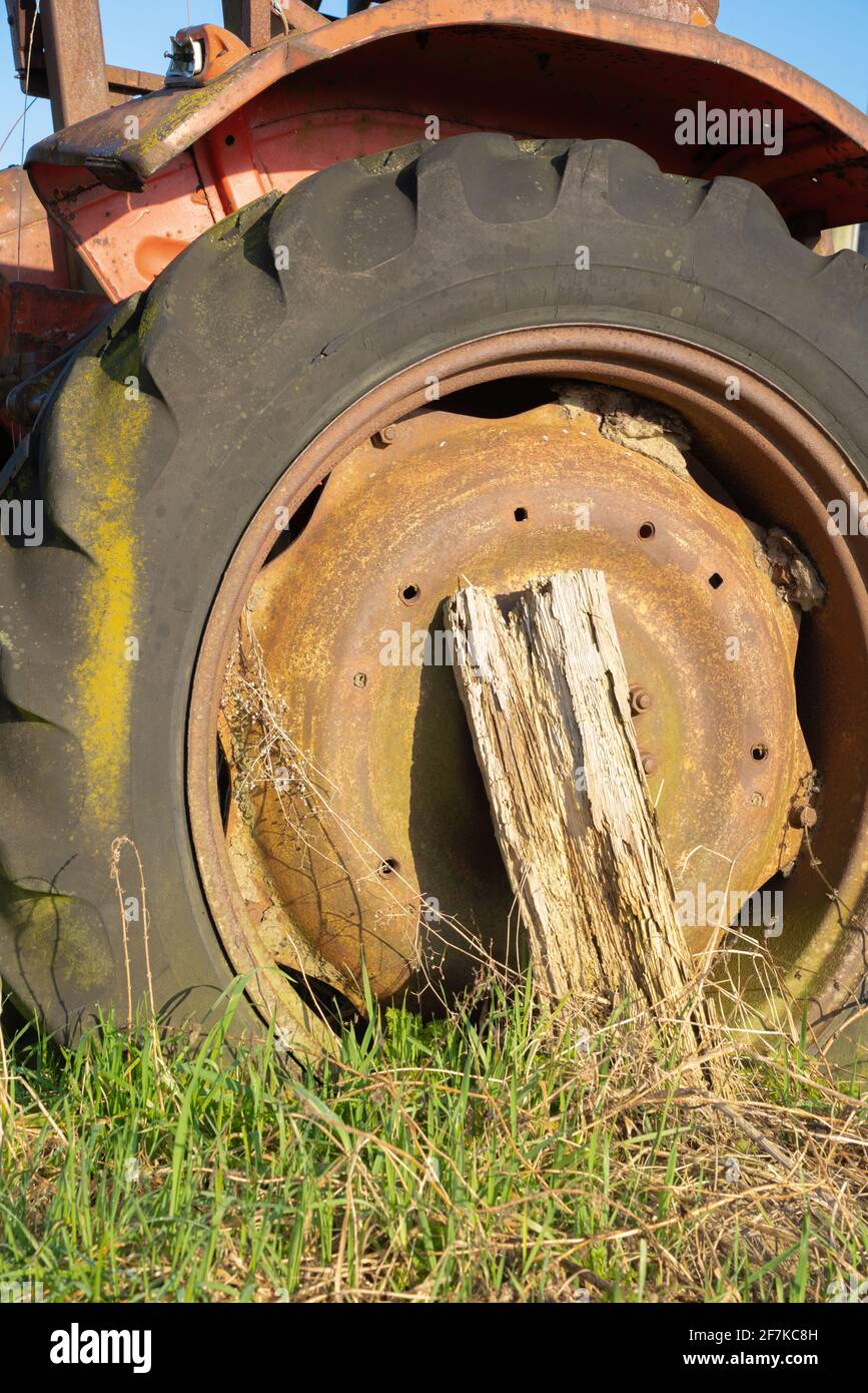 Vintage, Massey Ferguson, Traktor, vintage Traktoren, landwirtschaftlich, Markentraktor, Außendienst, Viehzucht, Arbeitstier, Marktführer, Rot. Stockfoto