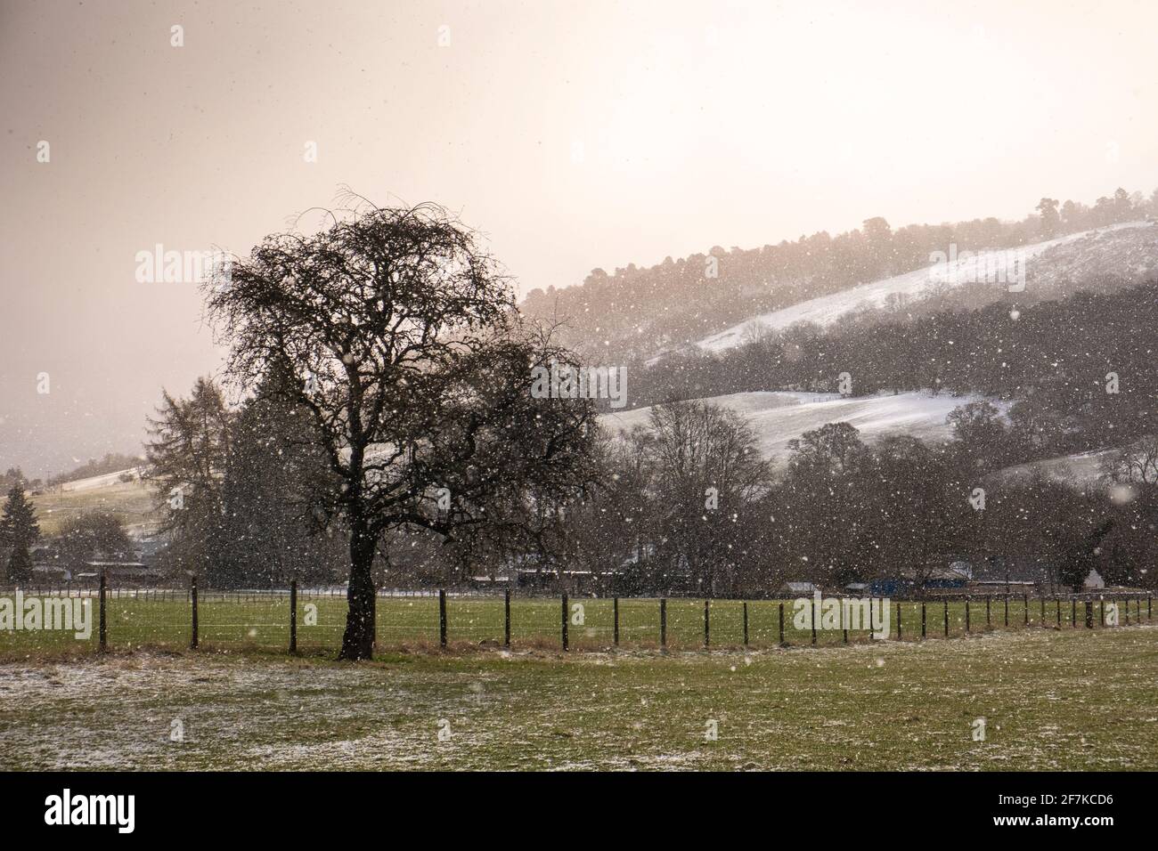 Zurück in den Highlands und der Winter ist wieder da! April Schnee in Drumnadrochit. Stockfoto