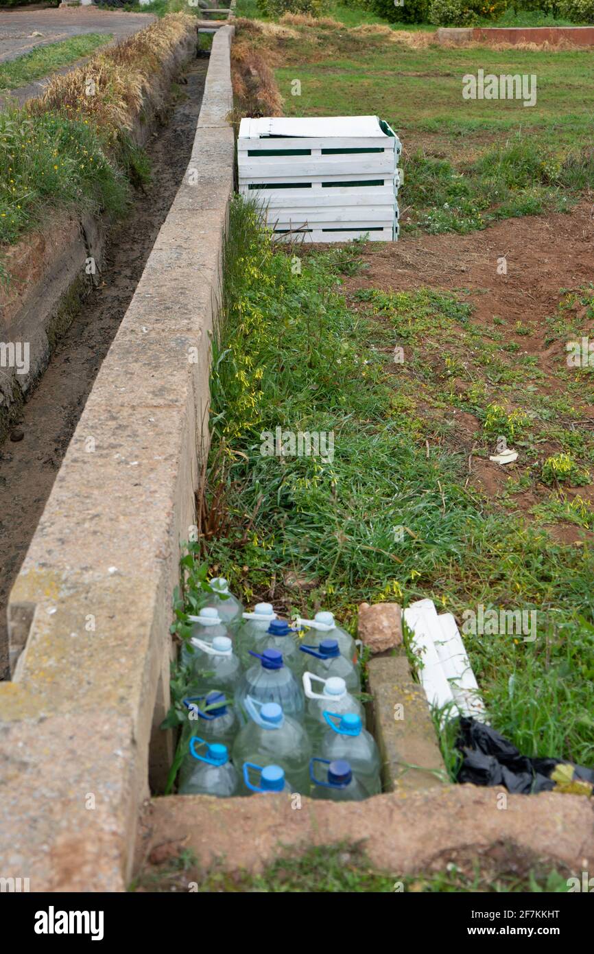 Frisch gepflanzte Felder mit Tomaten und Salat Stockfoto