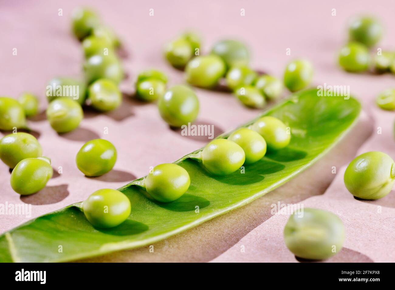 Frische ungekochte grüne Erbsen in geöffneter Hülse, mehrere Erbsen auf dem Tisch Stockfoto