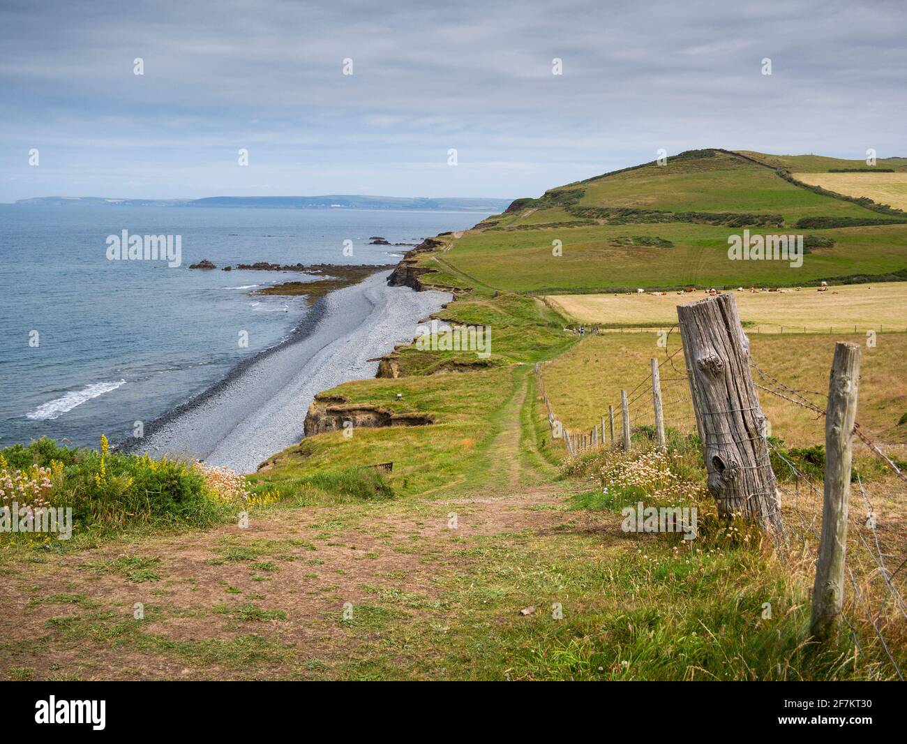 Der South West Coast Path entlang der Cornborough Cliff zwischen Westward Ho und Clovelly in der North Devon Coast National Landscape, England. Stockfoto