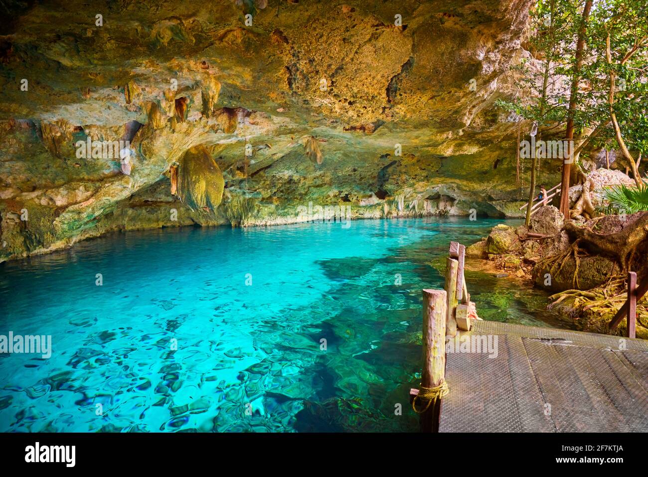 Zwei Augen Cenote, Cénote Dos Ojos, Yucatan, Mexiko. Stockfoto