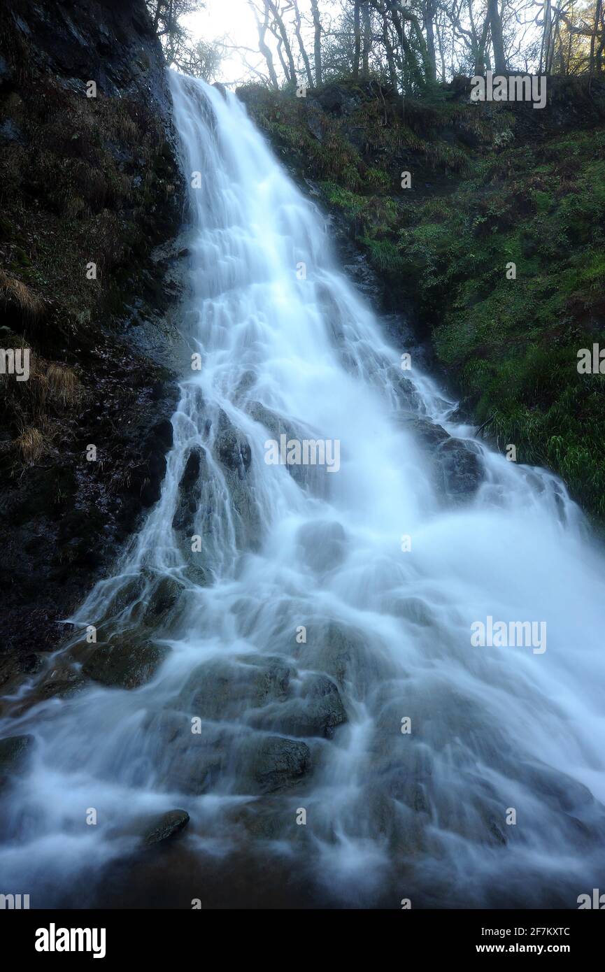 Nördlicher Bach von Gray Mare's Tail / Rhaeadr Y Parc Mawr. Stockfoto