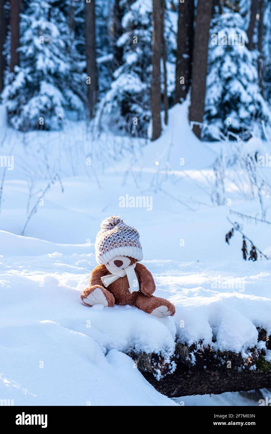 Ein Stofftier-Teddybär mit Schal und Hut sitzt an einem sonnigen Tag im Winterwald auf Schnee. Stockfoto