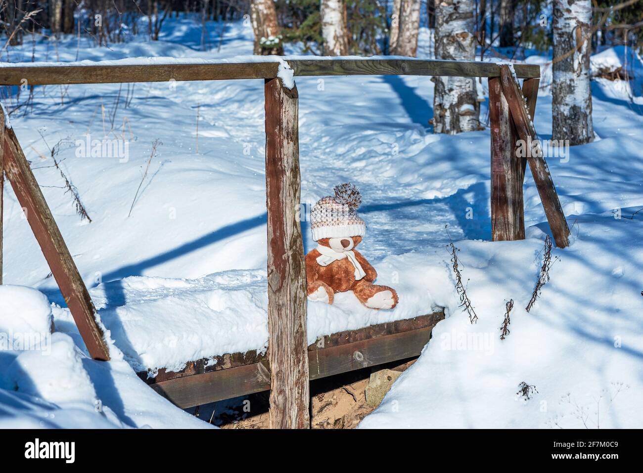 Ein Stofftier-Teddybär mit Schal und Hut sitzt an einem sonnigen Tag im Winterwald auf Schnee. Stockfoto
