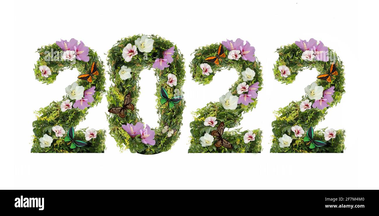 Konzept von Natur und Ökologie. Numbers Lettering 2022 im floralen Stil, schöne große weiße rosa Blüten, Efeu Reben wilden Weinberg. Stockfoto