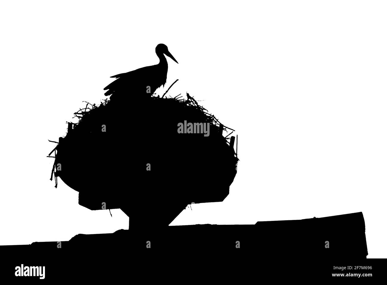 Wilder Storch sitzt auf dem Dachnest mit majestätischem Thronblick. Silhouette des ländlichen Tieres. Der Vogel auf dem Dach ist auch Metapher und Symbol für die Geburt. Stockfoto