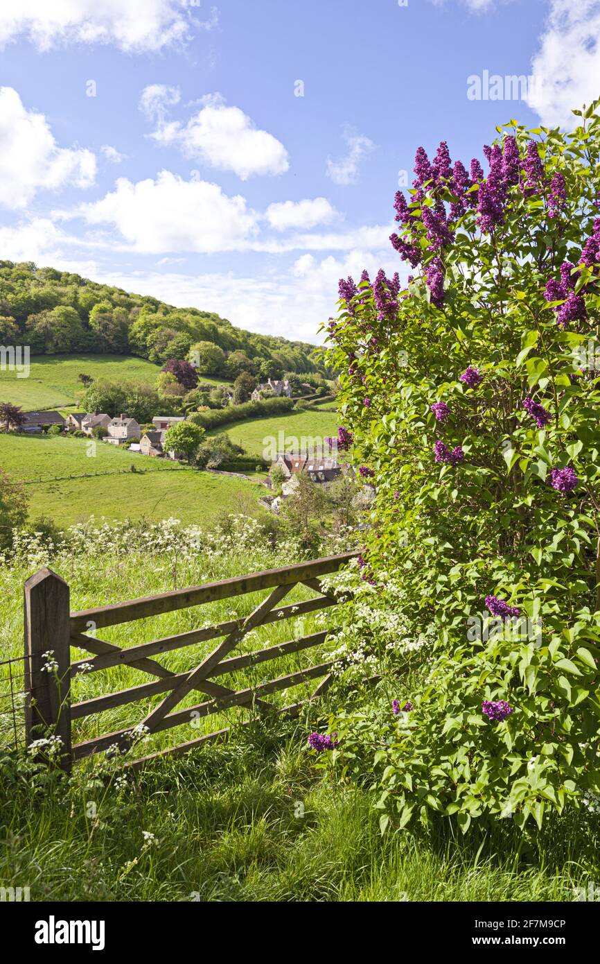 Blick auf die Vatch aus der Nähe des Cotswold-Dorfes Slad, Gloucestershire, Großbritannien Stockfoto