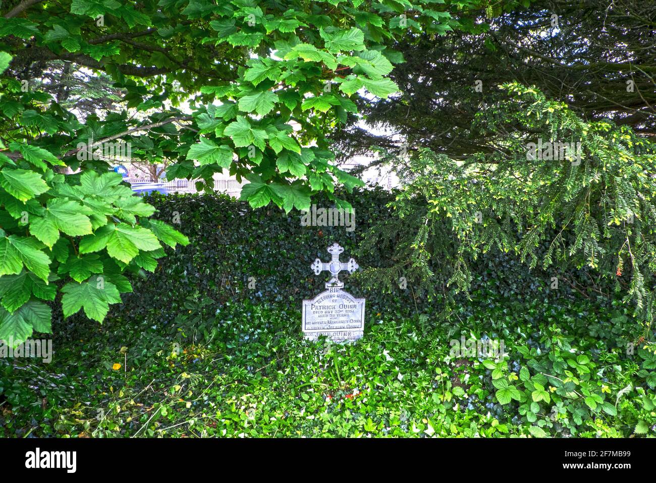 Ein Grabzeichen aus Metall auf dem alten, vernachlässigten und überwucherten Friedhof in Colpe, in der Nähe von Drogheda, Irland Stockfoto