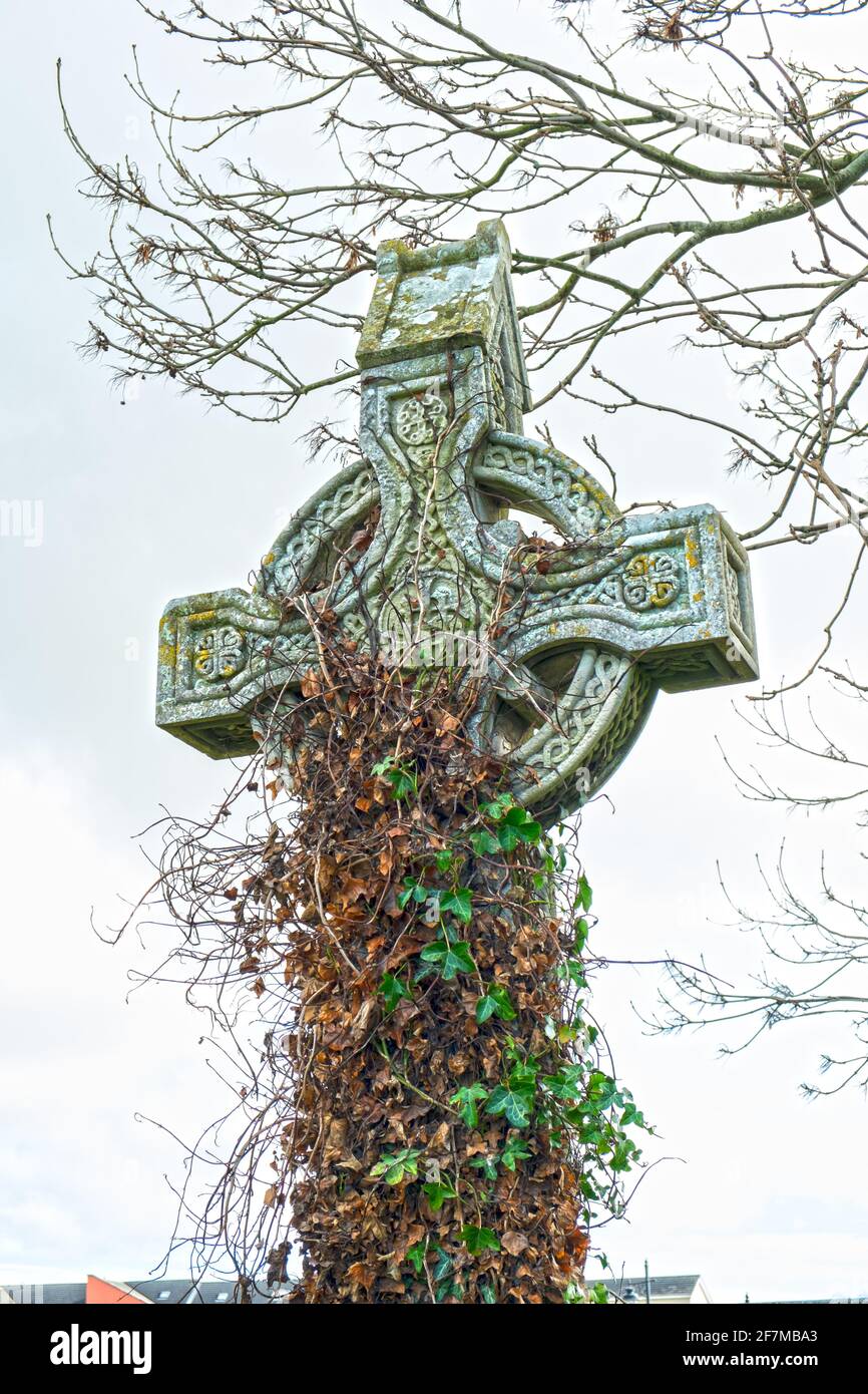 Ein Denkmal für keltische Kreuzgräber, das langsam von Efeu bedeckt wird Auf einem alten irischen Friedhof Stockfoto
