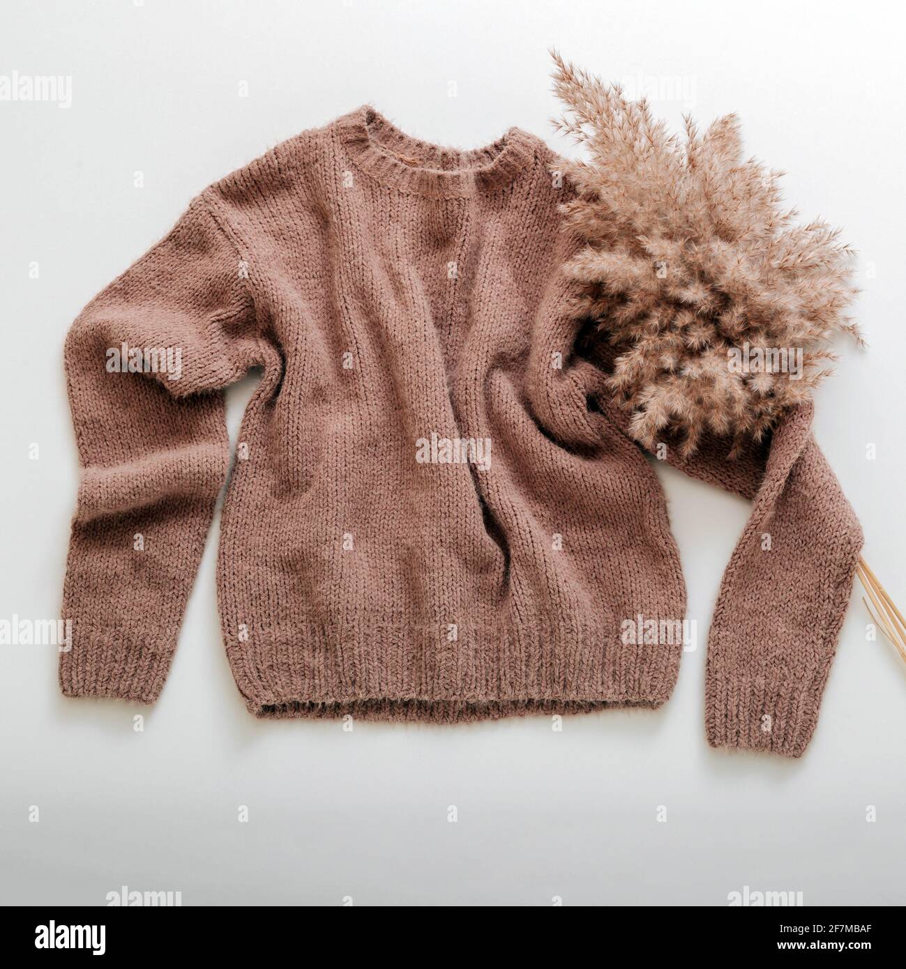 Warm stilvolle Homewear Winter Frühling Outfit braun warme Strickpullover mit cortaderia Zweig Blume Pampas Gras. Kaschmirpullover in weiß fliegen. Knitt Stockfoto Warm stilvolle Homewear Winter Frühling Outfit braun warme Strickpullover mit cortaderia Zweig Blume Pampas Gras. Kaschmirpullover in weiß fliegen. Knitt Stockfoto