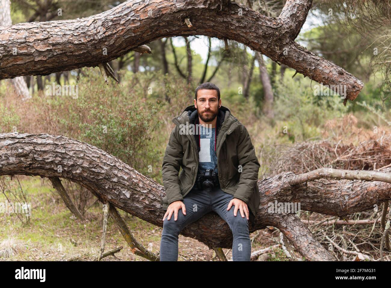 Professioneller Fotograf, der mit seiner Kamera in einem Baum sitzt Seine Hand schaut geradeaus Stockfoto