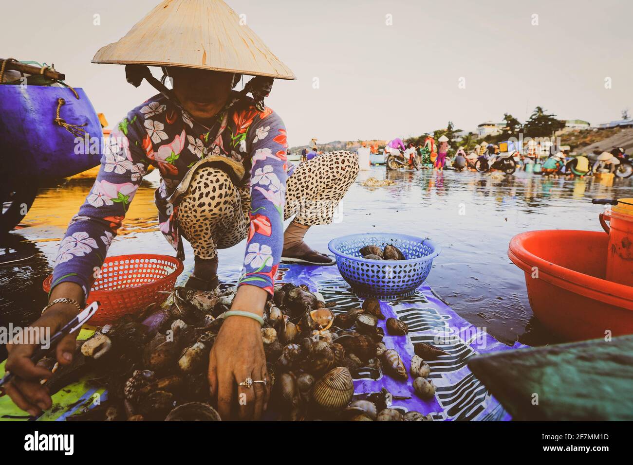 MUI ne - Vietnam - 22. Januar 2019 : lokaler Verkäufer sammelt Fische und Schalenfische in dem berühmten Fischerdorf in Mui ne, Vietnam Stockfoto