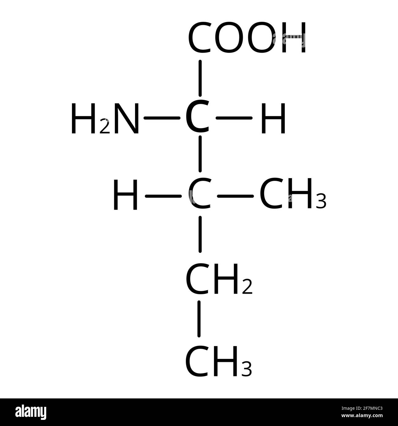 Isoleucin-Aminosäure. Chemische molekulare Formel Isoleucin Aminosäure. Vektorgrafik auf isoliertem Hintergrund Stock Vektor