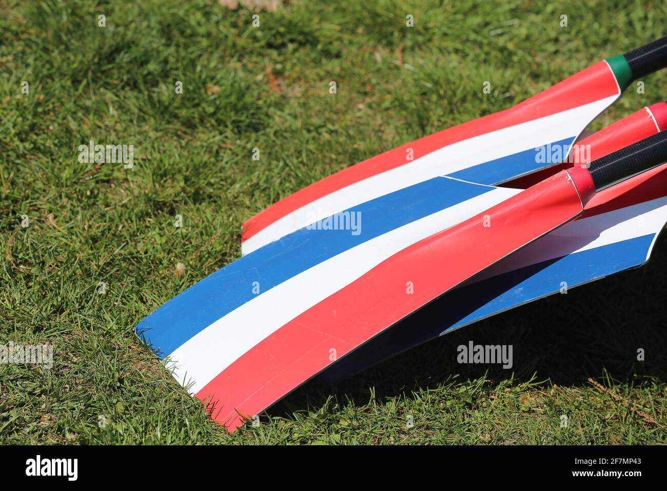 Varese, Italien. April 2021. Schädel des niederländischen Teams am Boden während des Trainings am 1. Tag bei den Rudereuropameisterschaften am 8. April 2021 in Varese, Italien Quelle: Mickael Chavet/Alamy Live News Stockfoto