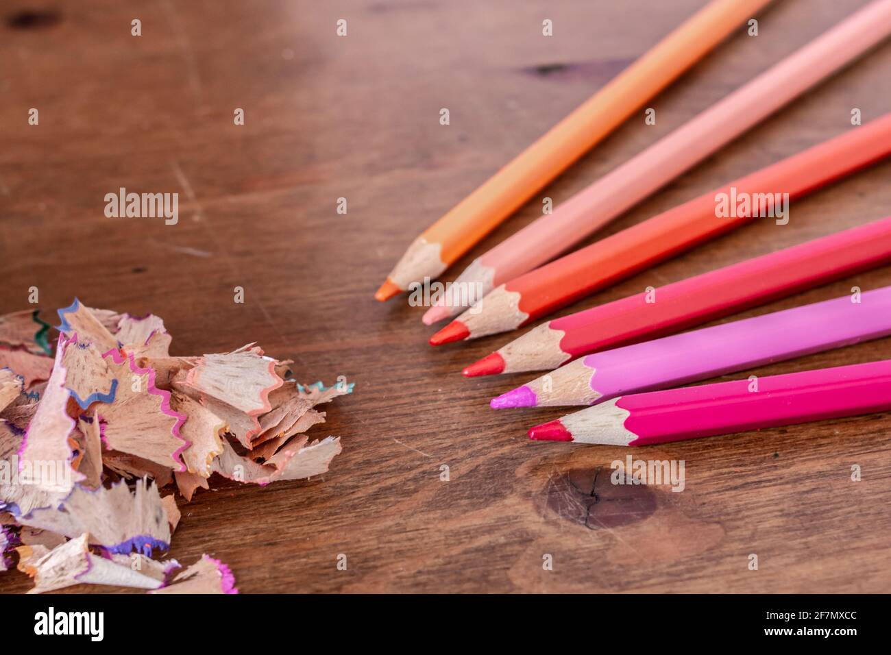 Buntstiftspangen, die aus einem blauen Bleistiftspitzer ohne Deckel auf einen Hartholztisch auslaufen, Farben sind violett, orange, rosa, gelb, Weichfokus. Stockfoto