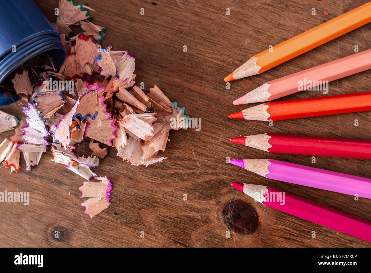 Bleistiftzeichnspangen, die aus einem blauen Bleistiftspitzer ohne Deckel auf einen Hartholztisch auslaufen, lila, orange, rosa, gelb, Bleistifte aufgereiht. Stockfoto