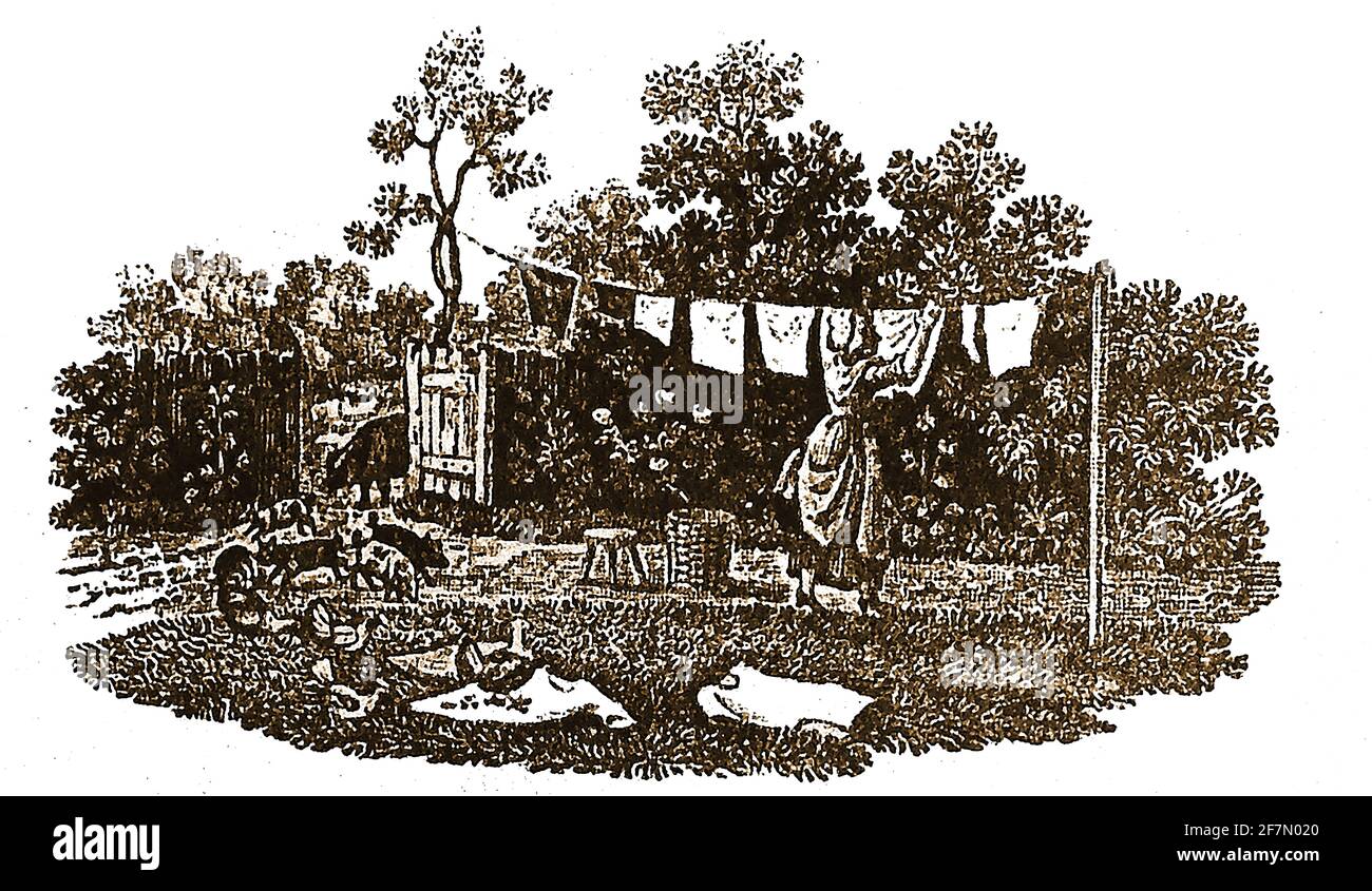 Eine alte Gravur aus dem 19. Jahrhundert, die eine britische Frau, Hausfrau oder Dienstmädchen zeigt, die sich an einer Wäscheleine waschen lässt. Freilandige Schweine und Hühner sind vom Hof aus in den Garten gewandert Stockfoto