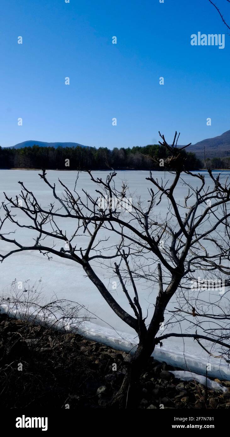 Der eisbedeckte Cooper Lake liegt in Lake Hill in der Stadt Woodstock, Ulster County, New York, und ist der größte natürliche See in den Catskill Mountains Stockfoto