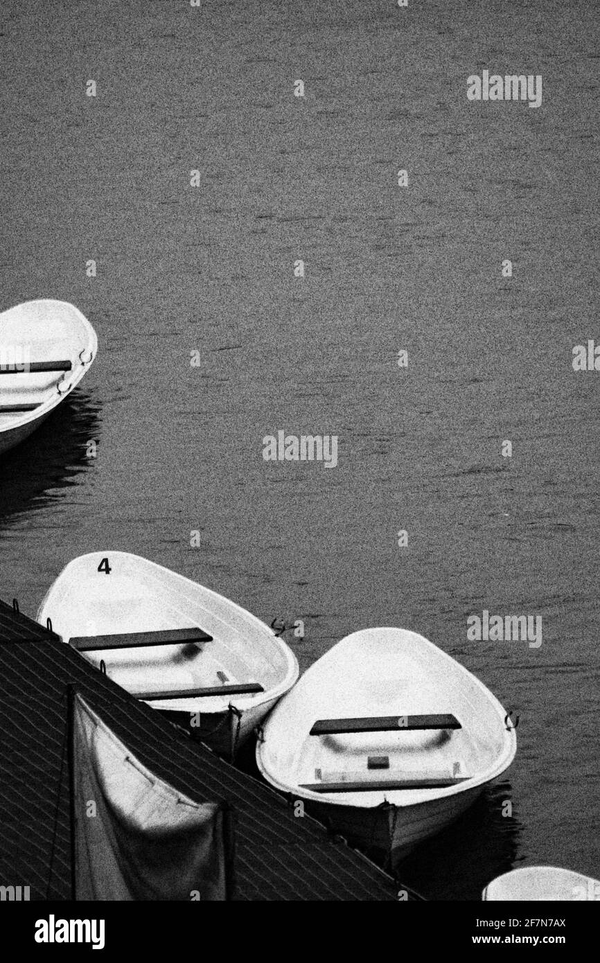 Dock mit Booten auf dem Po Fluss. Casalmaggiore, Lombardia, Italia Stockfoto