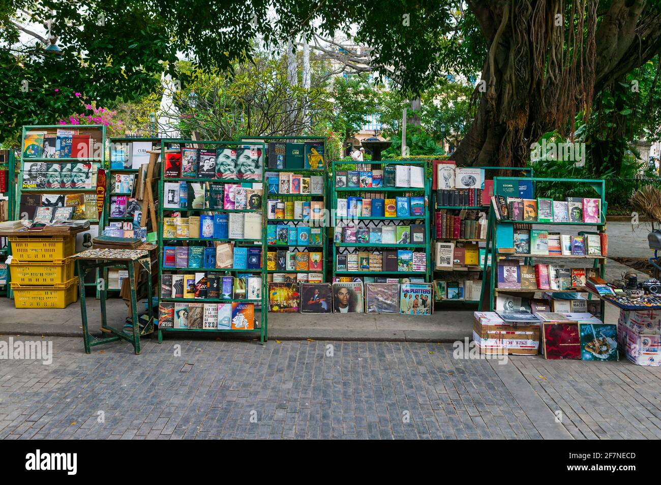 Bücher, LP's und Schmuckstücke zum Verkauf auf einem Outdoor-Markt in Havanna, Kuba. Stockfoto