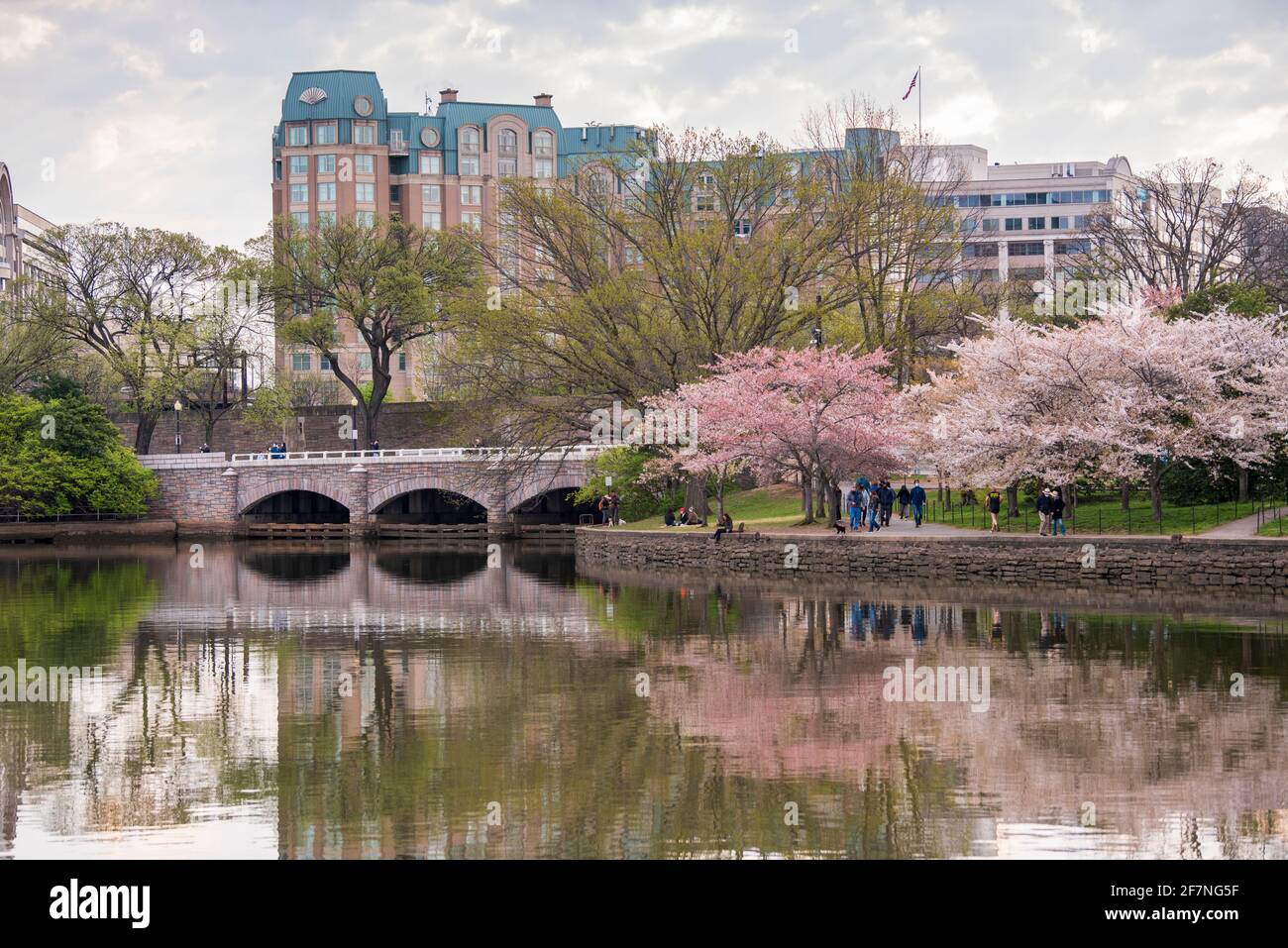 Touristen und Einheimische besuchen die weltberühmten Kirschblüten im Tidal Basin der National Mall in Washington, D.C. Stockfoto