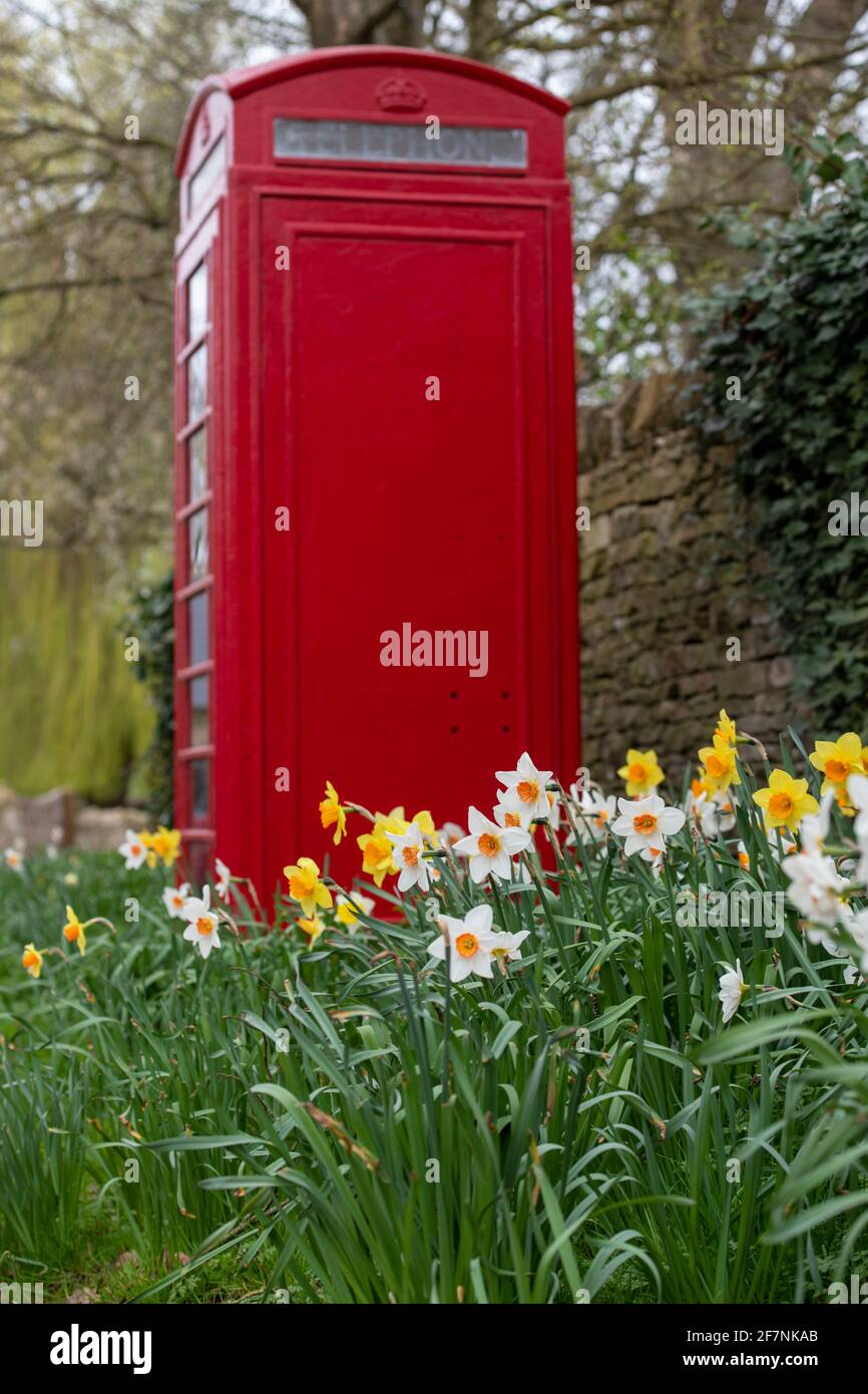 Frühlingszunkel neben der alten roten Telefonbox. Swinbrook, Cotswolds, Oxfordshire, England Stockfoto