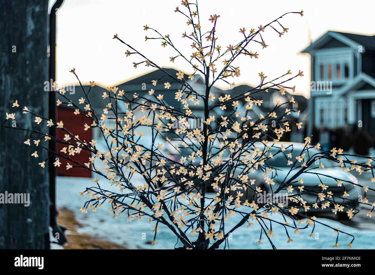 Winter Wonderland Stockfoto