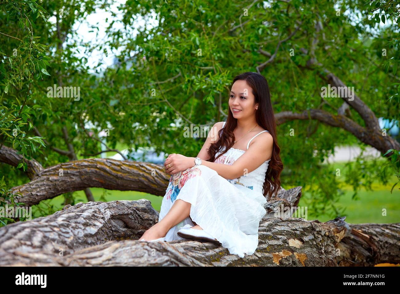 Ganzkörperexposition Erwachsene philippinische Frau in Kleid Blick auf die Kamera Während Sie sich am Sommertag auf dem Baumstamm entspannen Wald Stockfoto