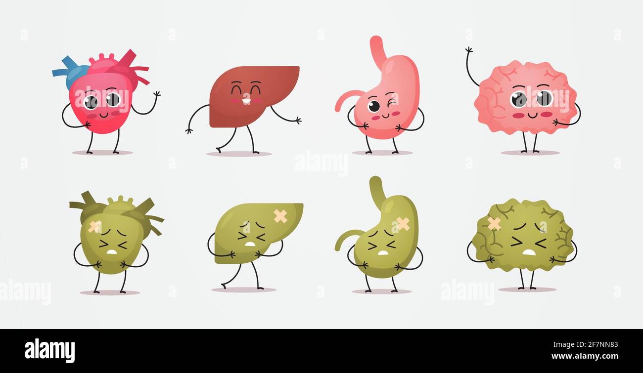 Stellen Sie gesunde und ungesunde Maskottchen Herz Leber Magen Gehirn Zeichen Krank beschädigt grünen menschlichen Körper innere Organe Anatomie Konzept horizontal Stock Vektor
