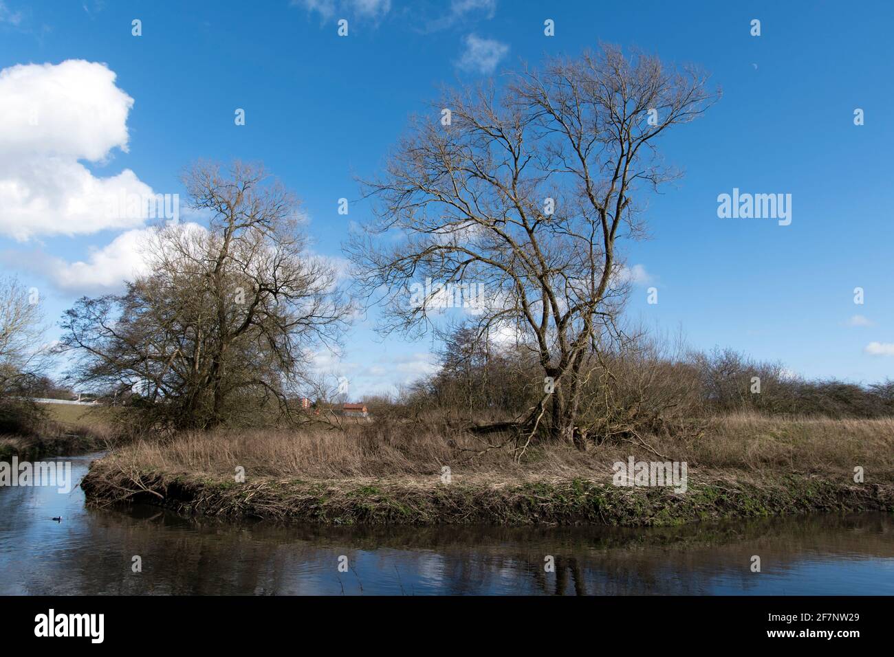 River Tame, in den West Midlands, England Stockfoto