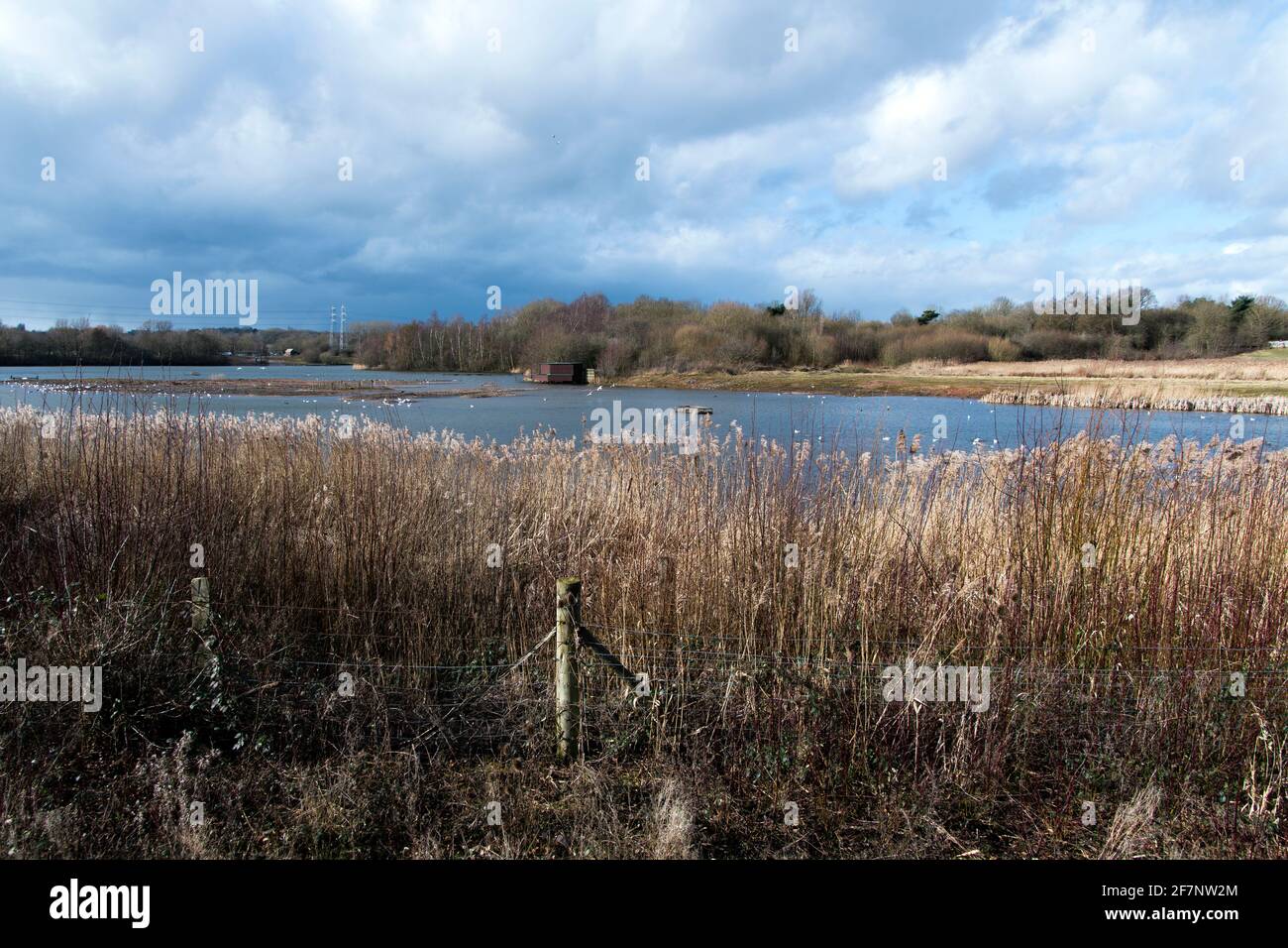 River Tame, in den West Midlands, England Stockfoto